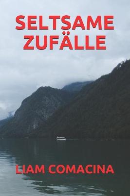 Book cover for Seltsame Zufalle