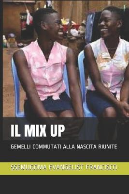 Cover of Il Mix Up