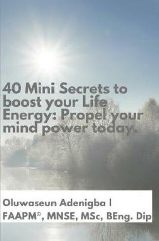 Cover of 40 Mini Secrets to Boost Your Life Energy