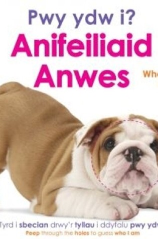 Cover of Pwy ydy i? Anifeiliaid Anwes / Who Am I? Pets