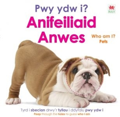 Book cover for Pwy ydy i? Anifeiliaid Anwes / Who Am I? Pets