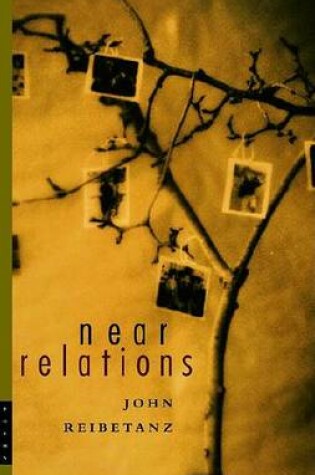 Cover of Near Relations