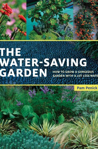 Cover of The Water-Saving Garden