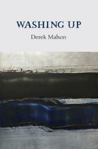 Cover of Washing Up