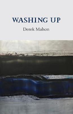 Book cover for Washing Up