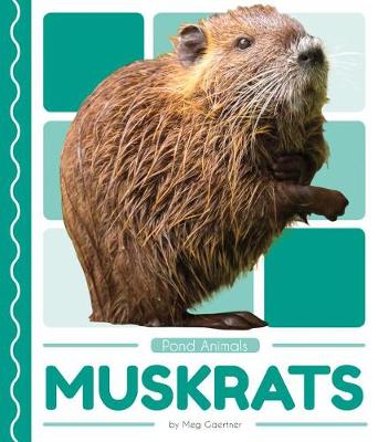 Cover of Muskrats