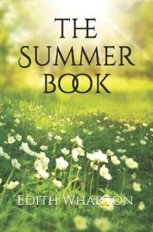 Cover of The Summer book