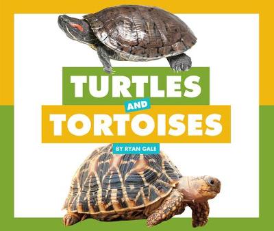 Book cover for Turtles and Tortoises