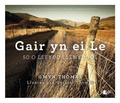 Book cover for Gair yn ei Le