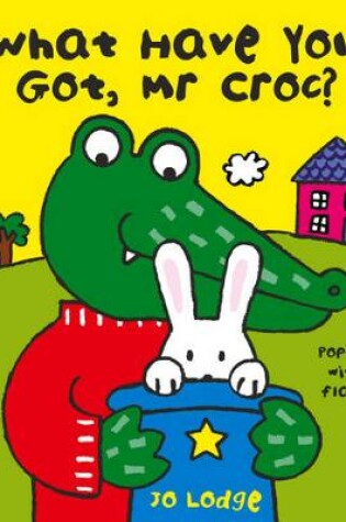 Cover of What Have You Got Mr Croc?