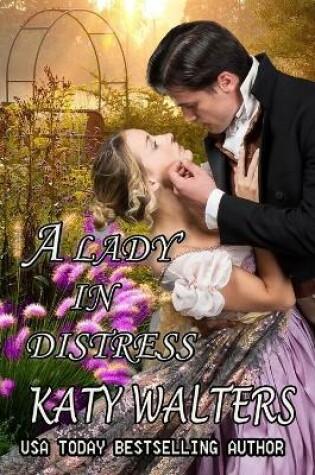 Cover of A Lady in Distress