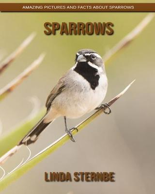 Book cover for Sparrows