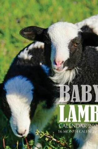 Cover of Baby Lamb Calendar 2021