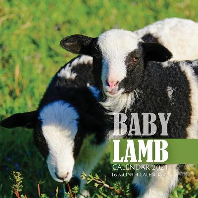 Book cover for Baby Lamb Calendar 2021