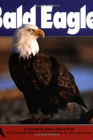 Cover of Bald Eagles