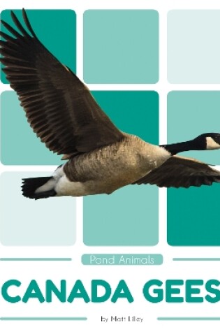 Cover of Pond Animals: Canada Geese