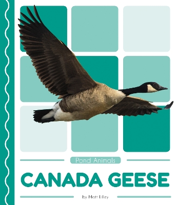 Book cover for Pond Animals: Canada Geese