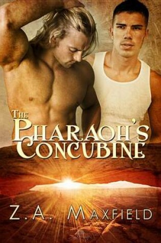Cover of The Pharaoh's Concubine