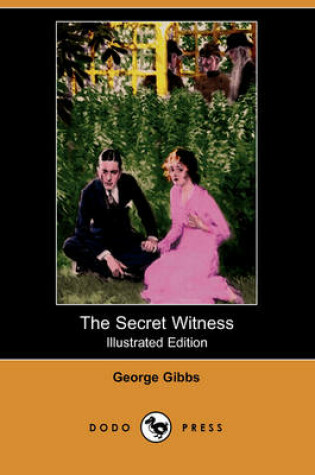 Cover of The Secret Witness(Dodo Press)