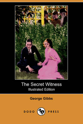 Book cover for The Secret Witness(Dodo Press)