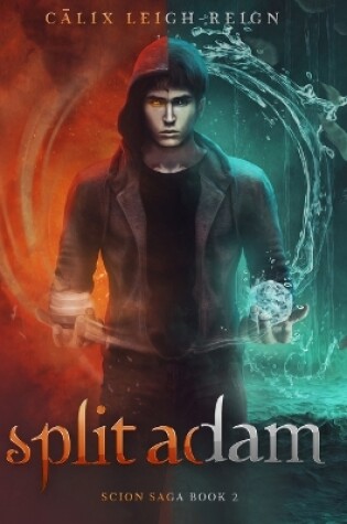 Cover of Split Adam