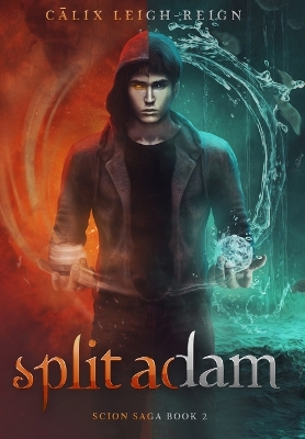 Book cover for Split Adam
