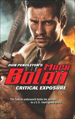 Cover of Critical Exposure