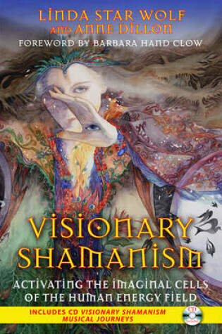 Cover of Visionary Shamanism