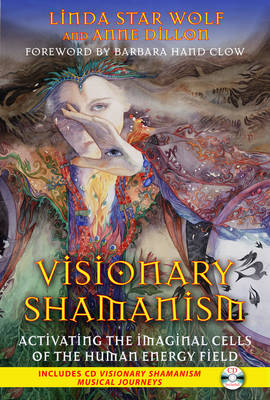 Book cover for Visionary Shamanism