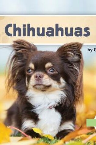 Cover of Chihuahuas