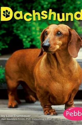 Cover of Dachshunds