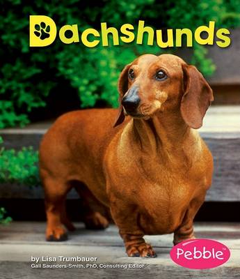 Cover of Dachshunds