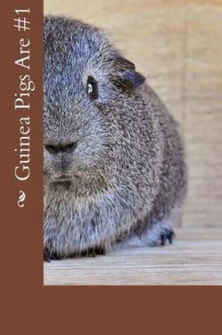 Cover of Guinea Pigs Are #1