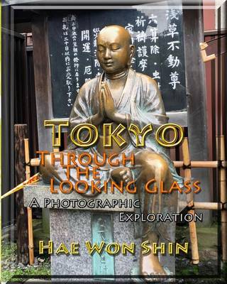 Book cover for Tokyo Through the Looking Glass