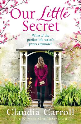 Book cover for Our Little Secret