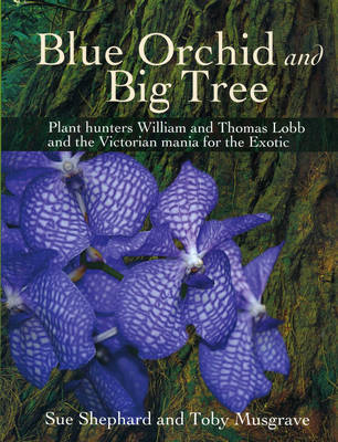 Book cover for Blue Orchid and Big Tree