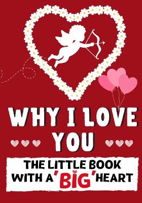 Book cover for Why I Love You