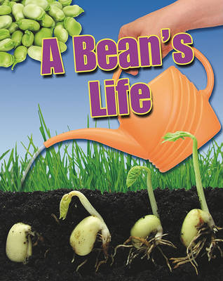 Cover of A Bean's Life