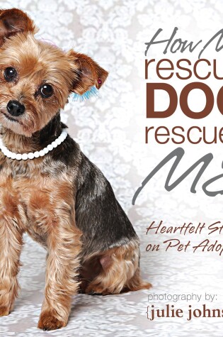 Cover of How My Rescue Dog Rescued Me