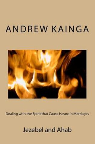 Cover of Dealing with the Spirit That Cause Havoc in Marriages