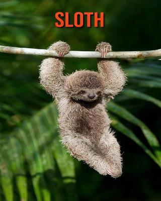 Book cover for Sloth