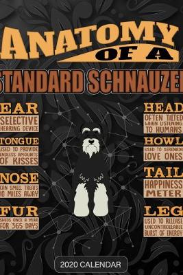 Book cover for Anatomy Of A Standard Schnauzer