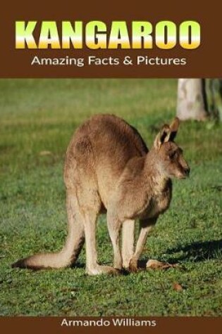 Cover of Kangaroo