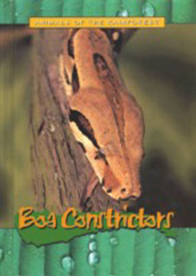 Book cover for Animals of the Rainforest: Boa Constrictors