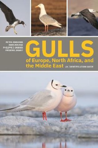 Cover of Gulls of Europe, North Africa, and the Middle East