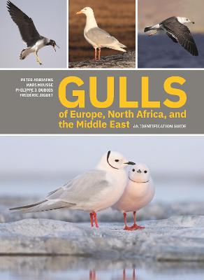 Book cover for Gulls of Europe, North Africa, and the Middle East