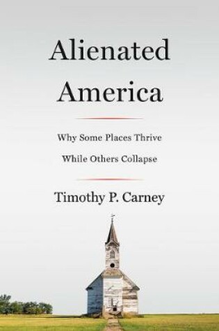 Cover of Abandoned America