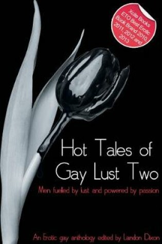 Cover of Hot Tales of Gay Lust Two