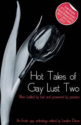 Book cover for Hot Tales of Gay Lust Two