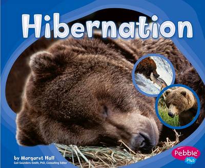 Book cover for Hibernation